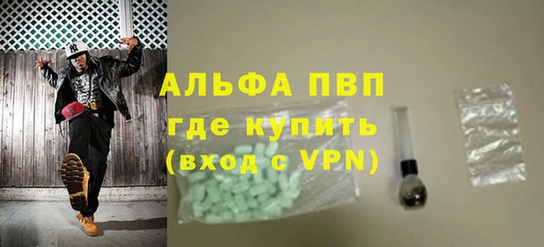индика Володарск