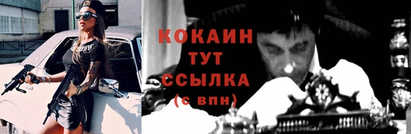 индика Володарск