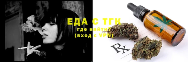индика Володарск