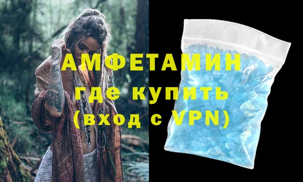 индика Володарск