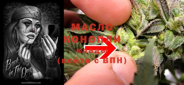 молекула духа Верхний Тагил