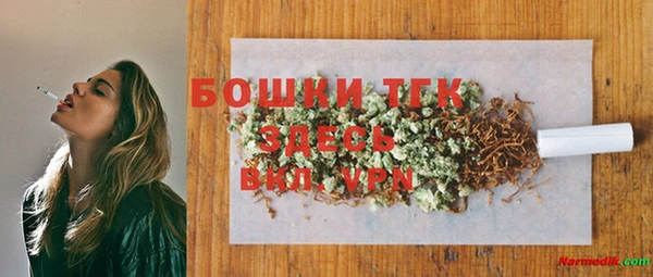 индика Володарск