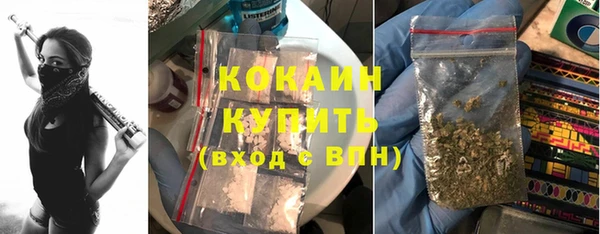 индика Володарск