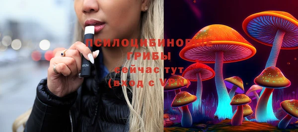 дмт Волоколамск