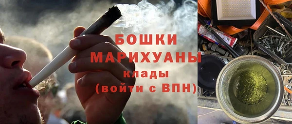 молекула духа Верхний Тагил
