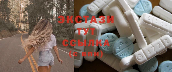 индика Володарск